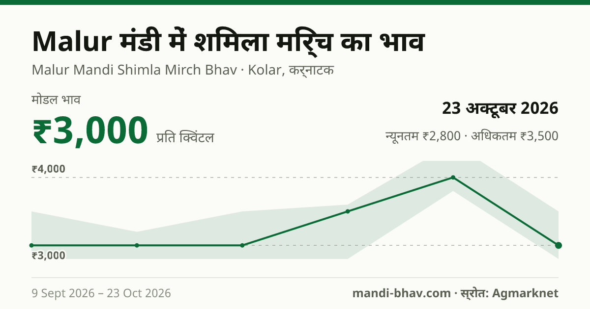 Malur मंडी में शिमला मिर्च का भाव 23 अक्टूबर 2026: मोडल ₹3,000 प्रति क्विंटल, भाव के रुझान का चार्ट