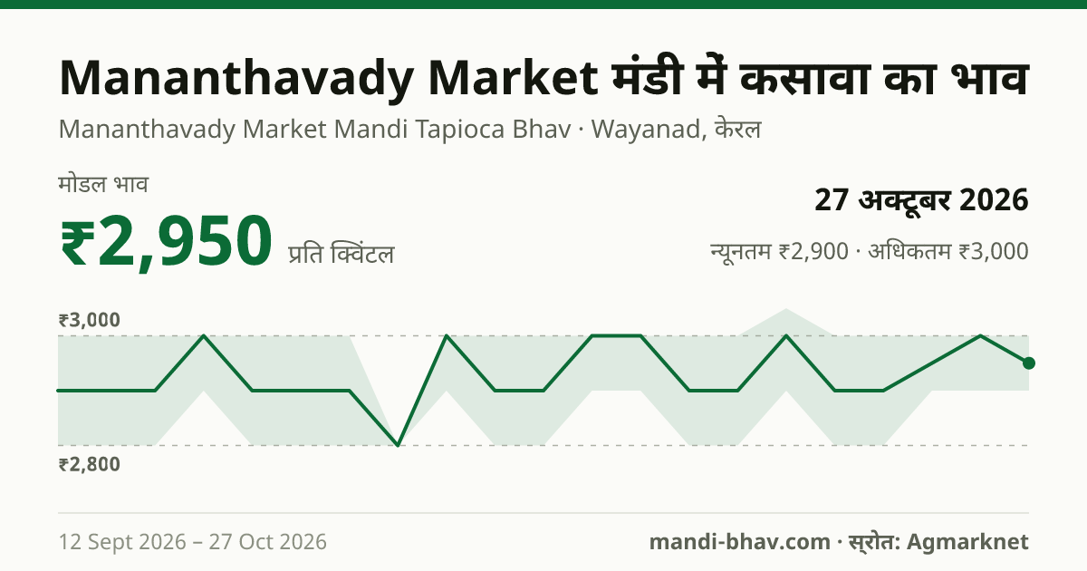 Mananthavady Market मंडी में कसावा का भाव 27 अक्टूबर 2026: मोडल ₹2,950 प्रति क्विंटल, भाव के रुझान का चार्ट