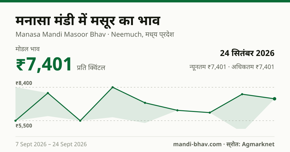 मनासा मंडी में मसूर का भाव 24 सितंबर 2026: मोडल ₹7,401 प्रति क्विंटल, भाव के रुझान का चार्ट