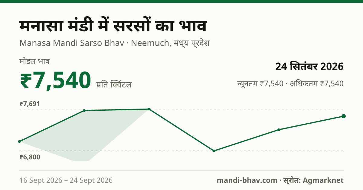 मनासा मंडी में सरसों का भाव 24 सितंबर 2026: मोडल ₹7,540 प्रति क्विंटल, भाव के रुझान का चार्ट