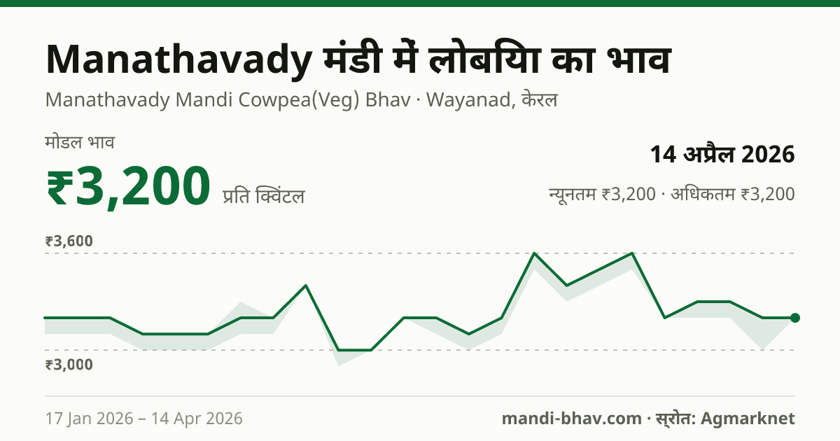 Manathavady मंडी में लोबिया का भाव 14 अप्रैल 2026: मोडल ₹3,200 प्रति क्विंटल, भाव के रुझान का चार्ट