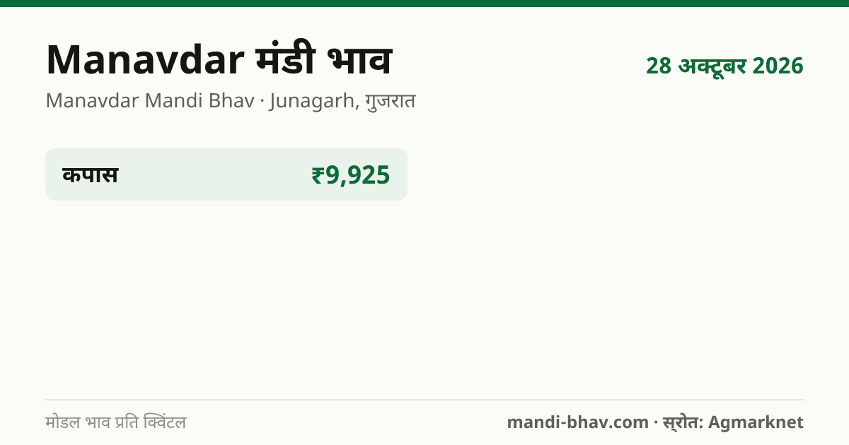 Manavdar मंडी भाव 28 अक्टूबर 2026: फसलवार मोडल रेट प्रति क्विंटल