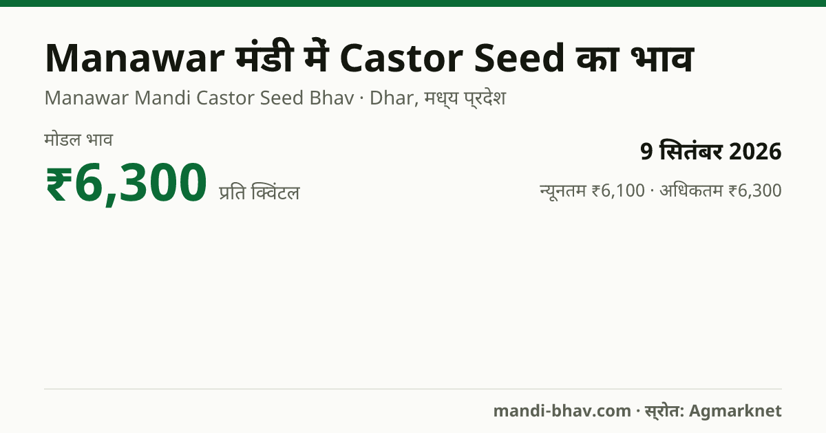 Manawar मंडी में Castor Seed का भाव 9 सितंबर 2026: मोडल ₹6,300 प्रति क्विंटल, भाव के रुझान का चार्ट
