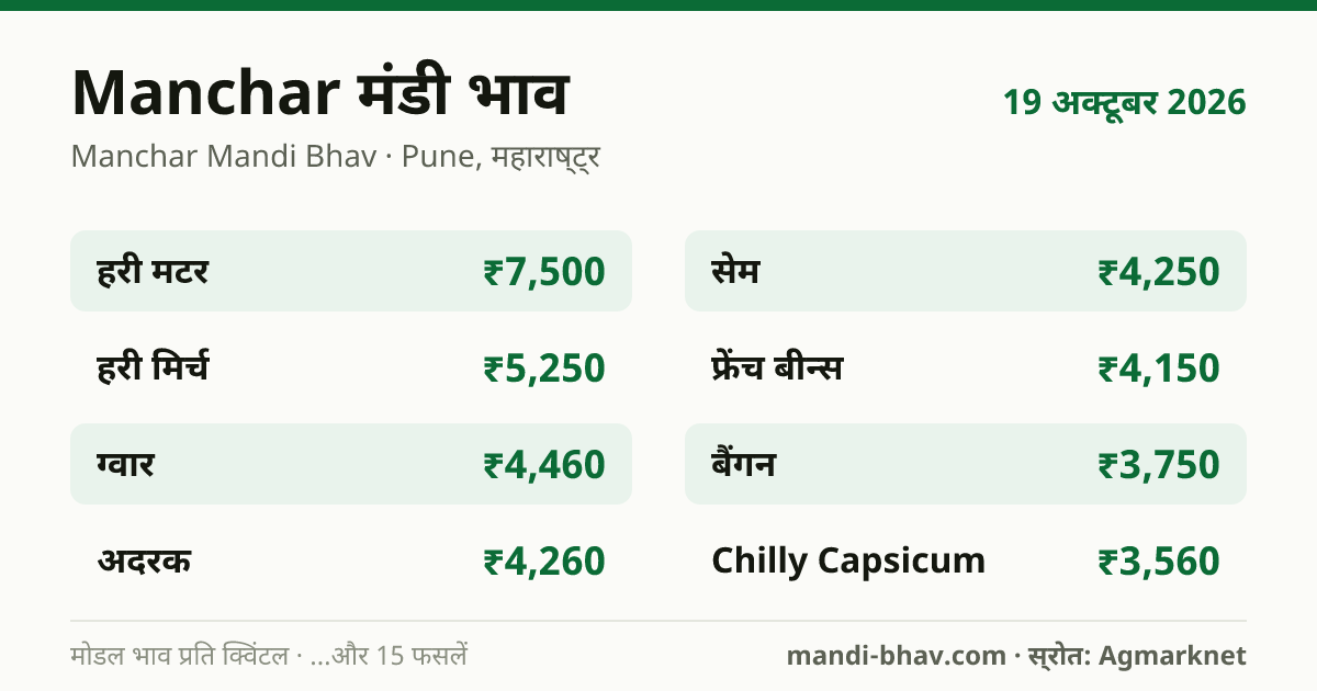 Manchar मंडी भाव 19 अक्टूबर 2026: फसलवार मोडल रेट प्रति क्विंटल