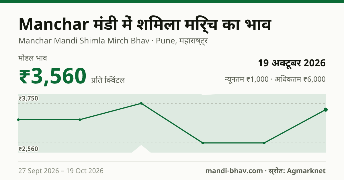 Manchar मंडी में Chilly Capsicum का भाव 19 अक्टूबर 2026: मोडल ₹3,560 प्रति क्विंटल, भाव के रुझान का चार्ट