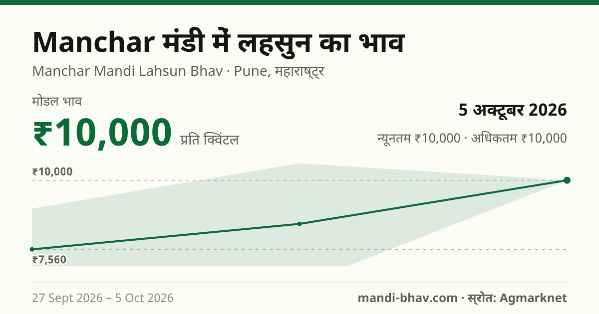 Manchar मंडी में लहसुन का भाव 5 अक्टूबर 2026: मोडल ₹10,000 प्रति क्विंटल, भाव के रुझान का चार्ट