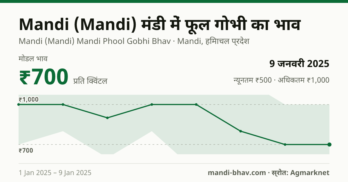 Mandi (Mandi) मंडी में फूल गोभी का भाव 9 जनवरी 2025: मोडल ₹700 प्रति क्विंटल, भाव के रुझान का चार्ट
