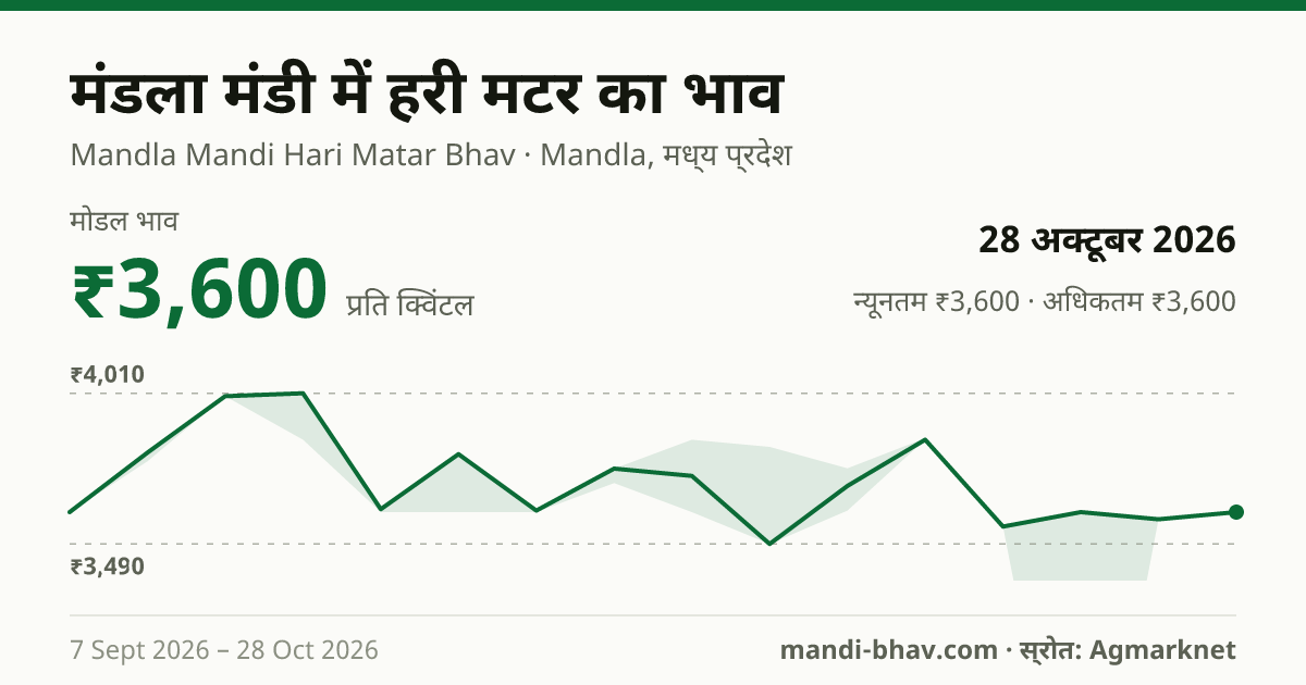 मंडला मंडी में हरी मटर का भाव 28 अक्टूबर 2026: मोडल ₹3,600 प्रति क्विंटल, भाव के रुझान का चार्ट
