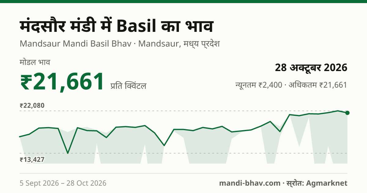 मंदसौर मंडी में Basil का भाव 28 अक्टूबर 2026: मोडल ₹21,661 प्रति क्विंटल, भाव के रुझान का चार्ट