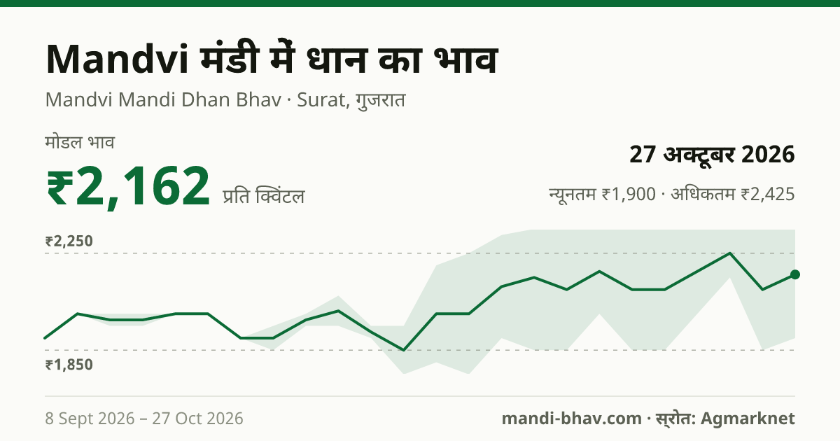 Mandvi मंडी में धान का भाव 27 अक्टूबर 2026: मोडल ₹2,162 प्रति क्विंटल, भाव के रुझान का चार्ट