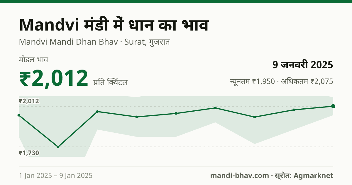 Mandvi मंडी में धान का भाव 9 जनवरी 2025: मोडल ₹2,012 प्रति क्विंटल, भाव के रुझान का चार्ट