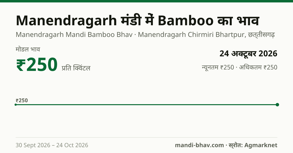 Manendragarh मंडी में Bamboo का भाव 24 अक्टूबर 2026: मोडल ₹250 प्रति क्विंटल, भाव के रुझान का चार्ट