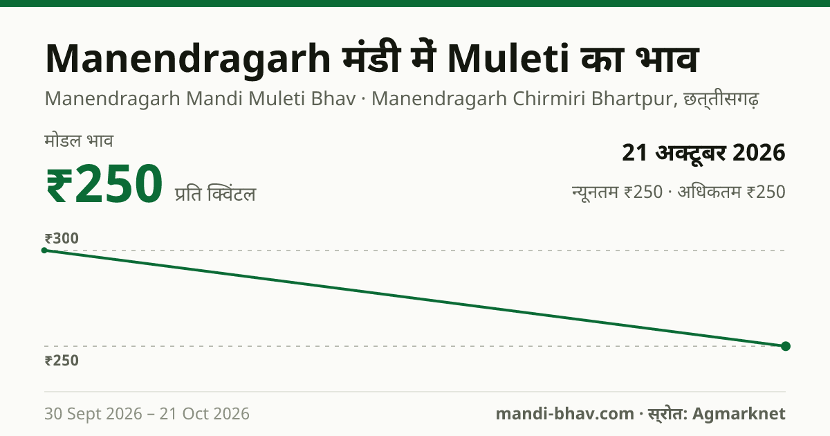 Manendragarh मंडी में Muleti का भाव 21 अक्टूबर 2026: मोडल ₹250 प्रति क्विंटल, भाव के रुझान का चार्ट