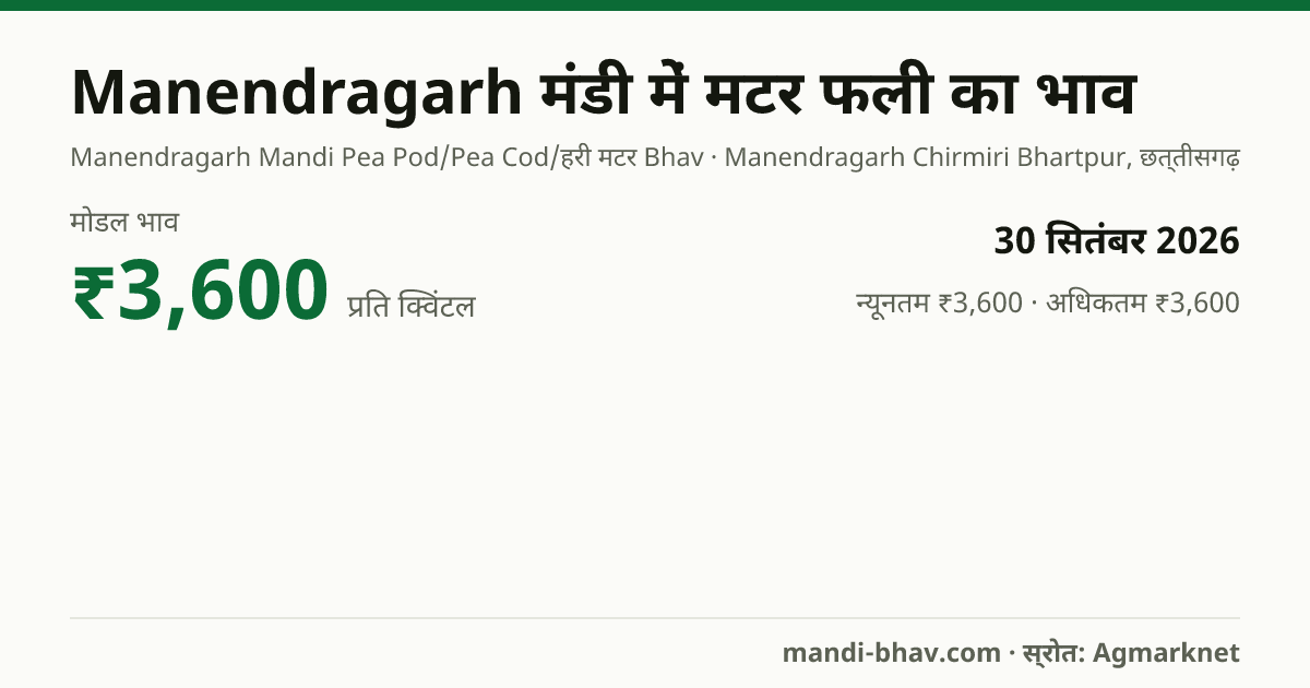 Manendragarh मंडी में मटर फली का भाव 30 सितंबर 2026: मोडल ₹3,600 प्रति क्विंटल, भाव के रुझान का चार्ट