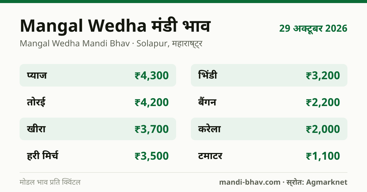Mangal Wedha मंडी भाव 29 अक्टूबर 2026: फसलवार मोडल रेट प्रति क्विंटल