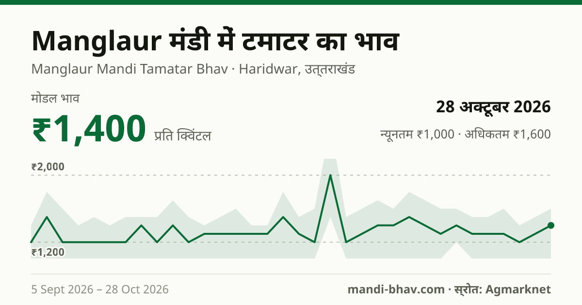 Manglaur मंडी में टमाटर का भाव 28 अक्टूबर 2026: मोडल ₹1,400 प्रति क्विंटल, भाव के रुझान का चार्ट