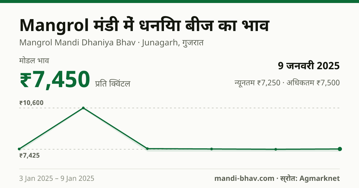 Mangrol मंडी में धनिया बीज का भाव 9 जनवरी 2025: मोडल ₹7,450 प्रति क्विंटल, भाव के रुझान का चार्ट