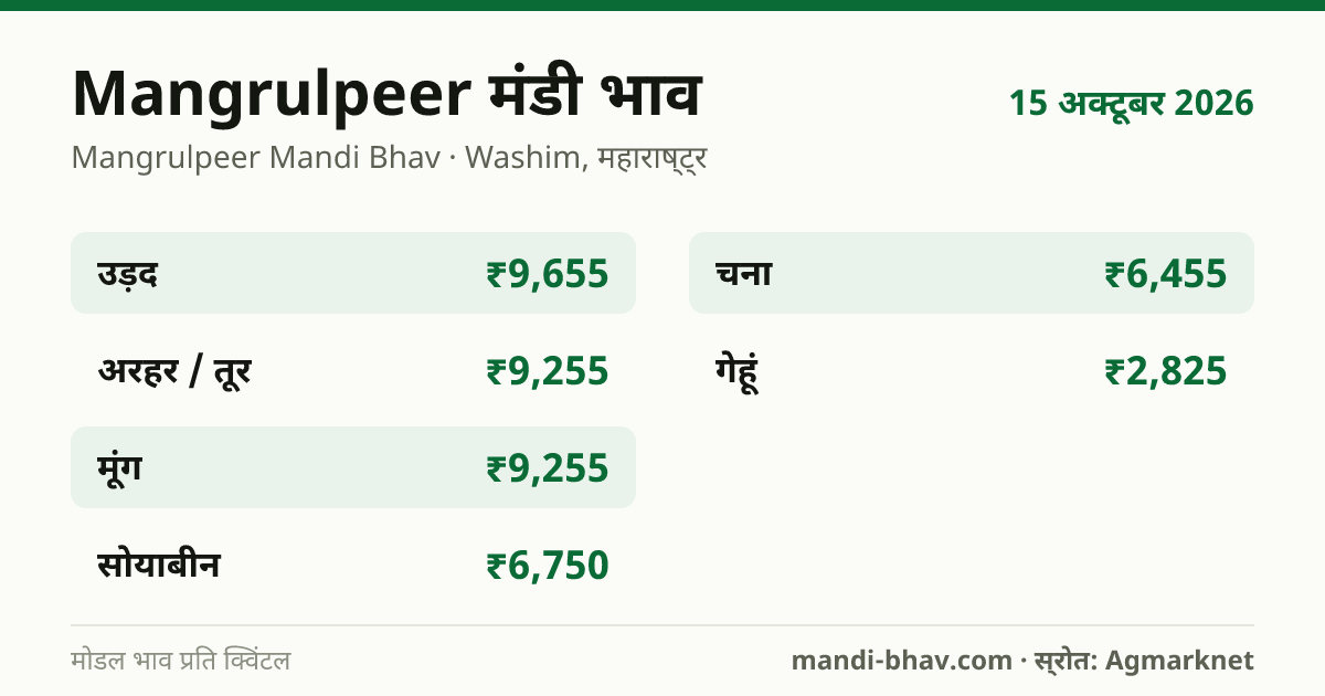 Mangrulpeer मंडी भाव 15 अक्टूबर 2026: फसलवार मोडल रेट प्रति क्विंटल