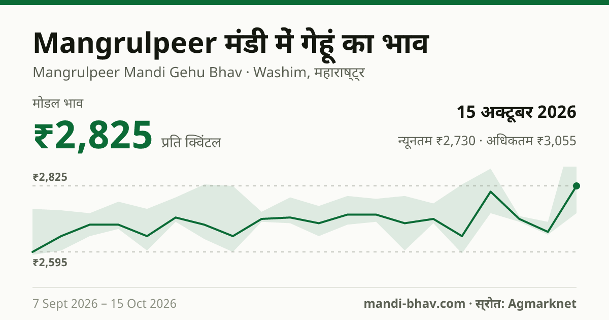 Mangrulpeer मंडी में गेहूं का भाव 15 अक्टूबर 2026: मोडल ₹2,825 प्रति क्विंटल, भाव के रुझान का चार्ट