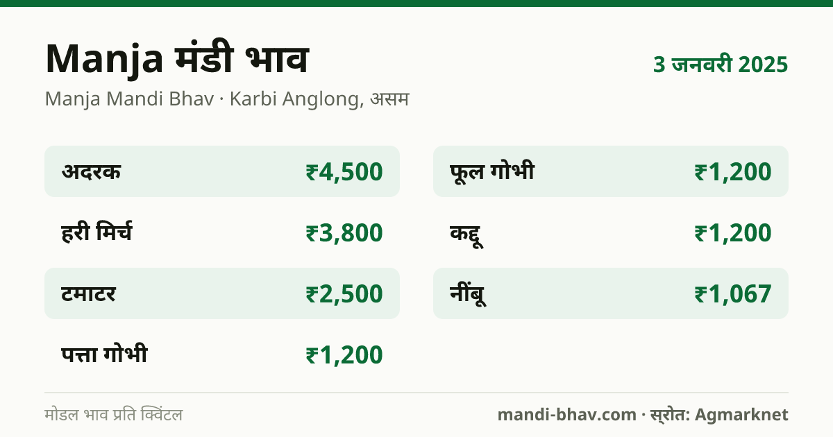 Manja मंडी भाव 3 जनवरी 2025: फसलवार मोडल रेट प्रति क्विंटल