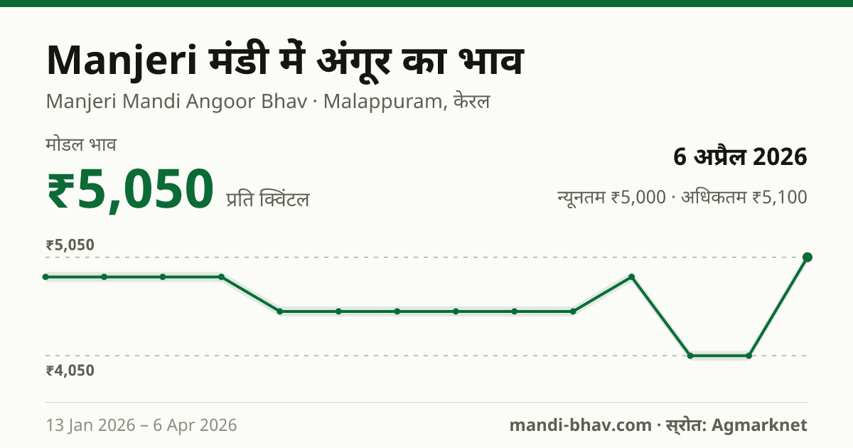 Manjeri मंडी में अंगूर का भाव 6 अप्रैल 2026: मोडल ₹5,050 प्रति क्विंटल, भाव के रुझान का चार्ट