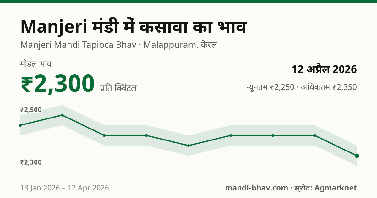 Manjeri मंडी में कसावा का भाव 12 अप्रैल 2026: मोडल ₹2,300 प्रति क्विंटल, भाव के रुझान का चार्ट