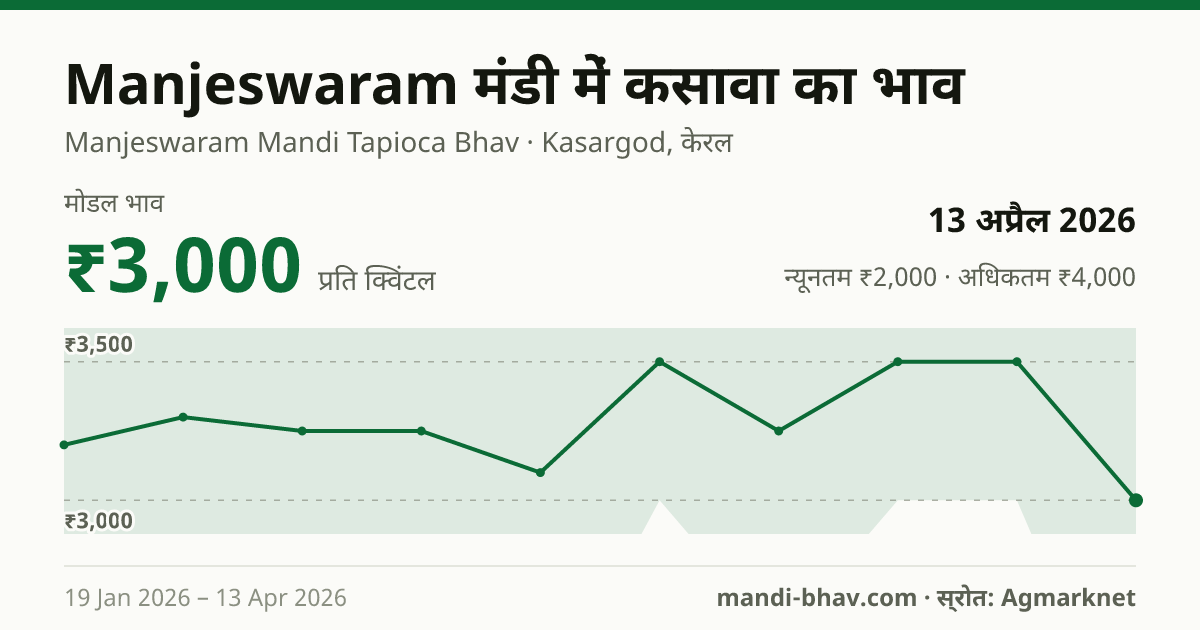 Manjeswaram मंडी में कसावा का भाव 13 अप्रैल 2026: मोडल ₹3,000 प्रति क्विंटल, भाव के रुझान का चार्ट