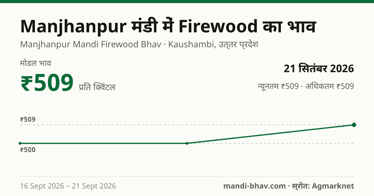 Manjhanpur मंडी में Firewood का भाव 21 सितंबर 2026: मोडल ₹509 प्रति क्विंटल, भाव के रुझान का चार्ट