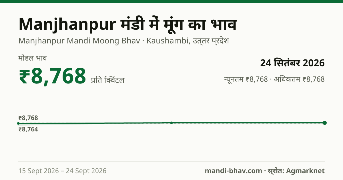 Manjhanpur मंडी में मूंग का भाव 24 सितंबर 2026: मोडल ₹8,768 प्रति क्विंटल, भाव के रुझान का चार्ट