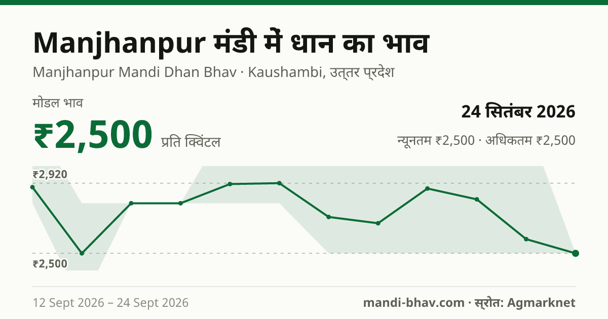 Manjhanpur मंडी में धान का भाव 24 सितंबर 2026: मोडल ₹2,500 प्रति क्विंटल, भाव के रुझान का चार्ट