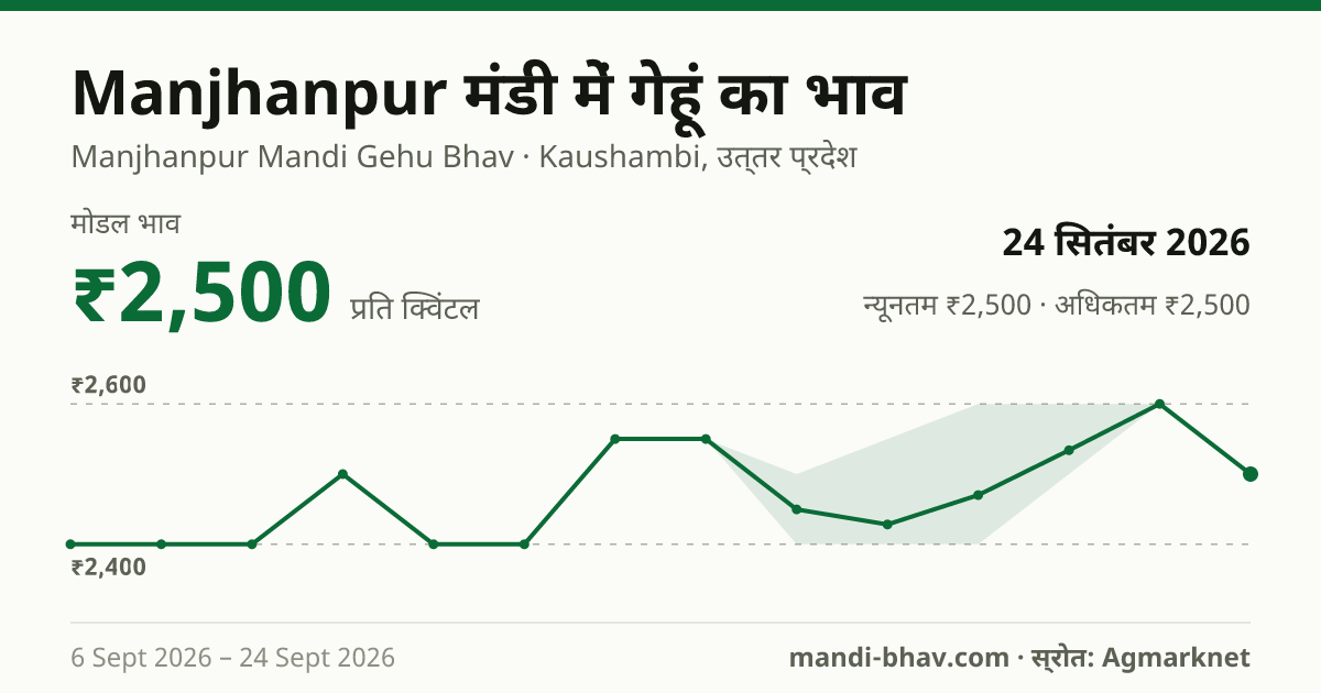 Manjhanpur मंडी में गेहूं का भाव 24 सितंबर 2026: मोडल ₹2,500 प्रति क्विंटल, भाव के रुझान का चार्ट