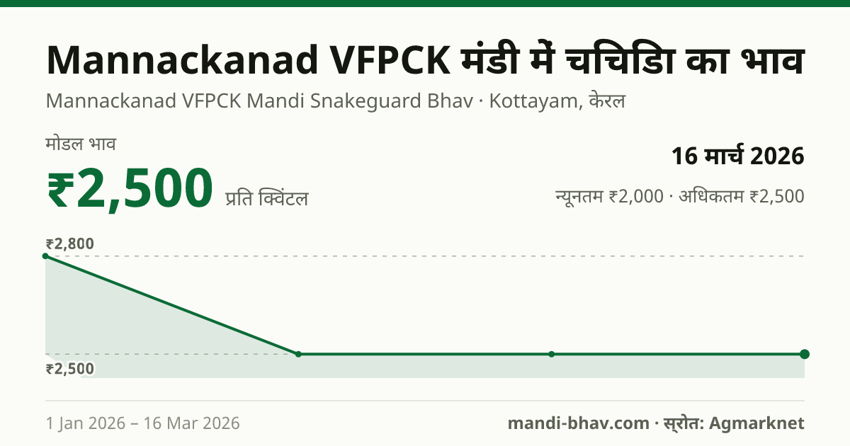 Mannackanad VFPCK मंडी में चिचिंडा का भाव 16 मार्च 2026: मोडल ₹2,500 प्रति क्विंटल, भाव के रुझान का चार्ट