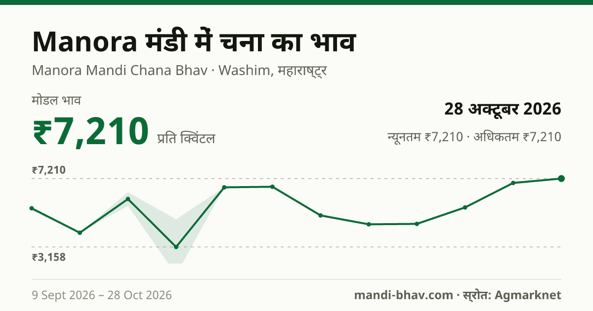 Manora मंडी में चना का भाव 28 अक्टूबर 2026: मोडल ₹7,210 प्रति क्विंटल, भाव के रुझान का चार्ट