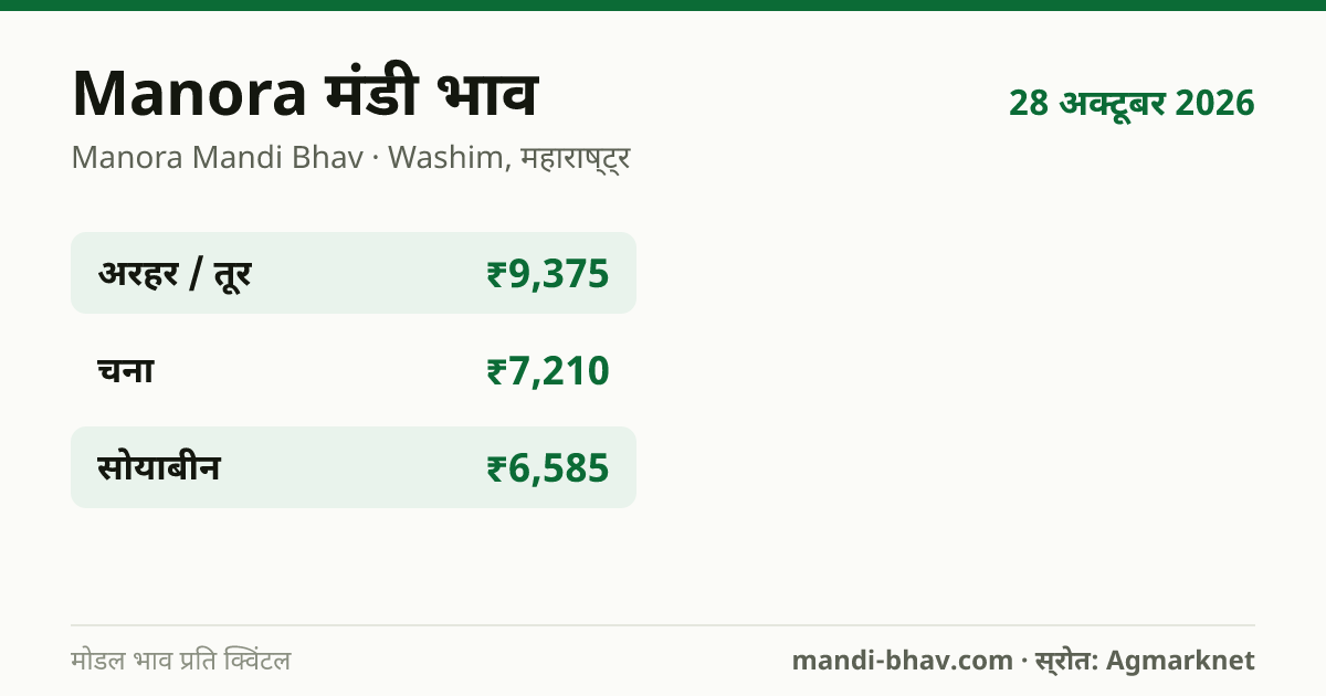 Manora मंडी भाव 28 अक्टूबर 2026: फसलवार मोडल रेट प्रति क्विंटल