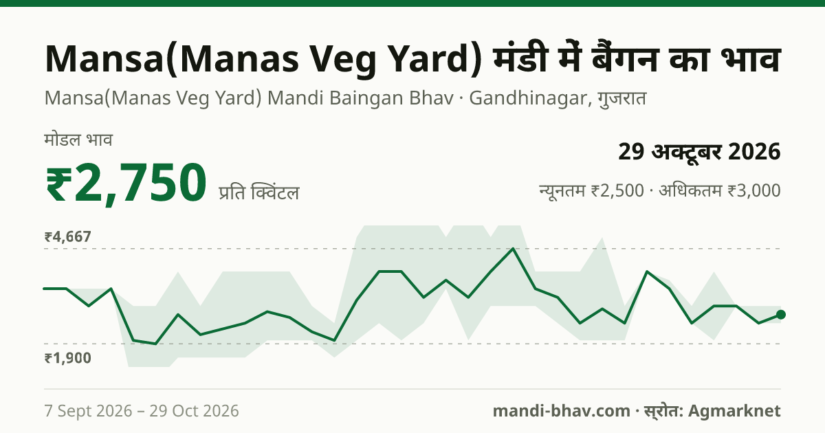 Mansa(Manas Veg Yard) मंडी में बैंगन का भाव 29 अक्टूबर 2026: मोडल ₹2,750 प्रति क्विंटल, भाव के रुझान का चार्ट