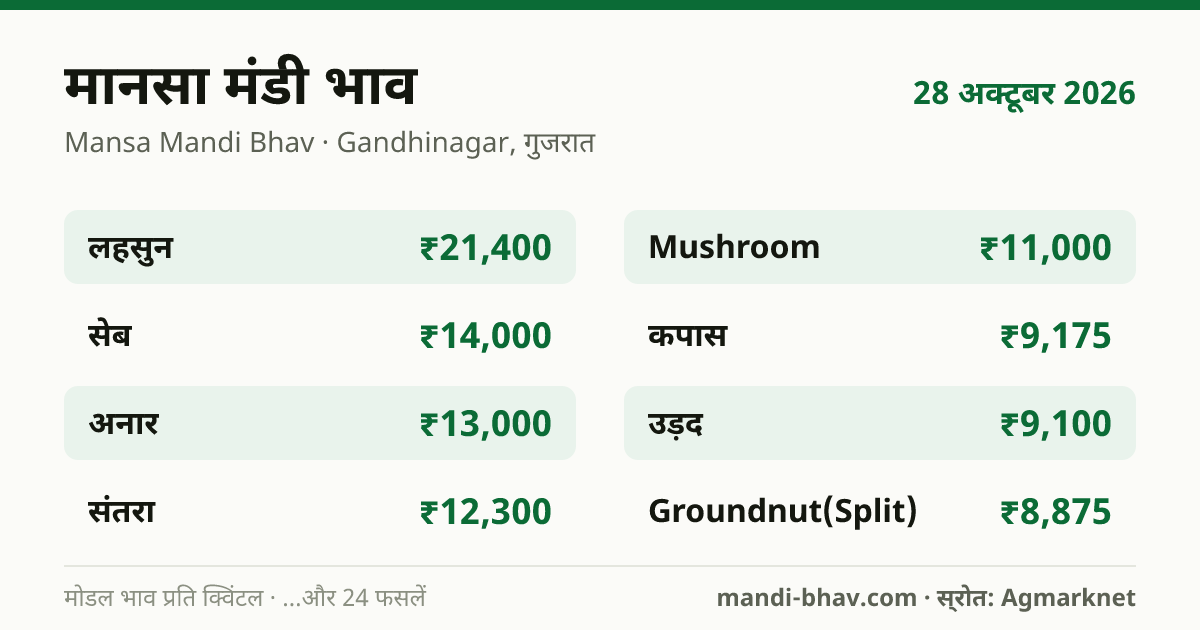 मानसा मंडी भाव 28 अक्टूबर 2026: फसलवार मोडल रेट प्रति क्विंटल