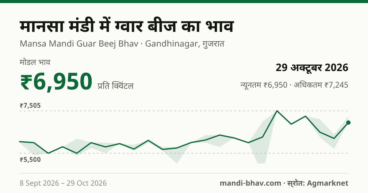 मानसा मंडी में ग्वार बीज का भाव 29 अक्टूबर 2026: मोडल ₹6,950 प्रति क्विंटल, भाव के रुझान का चार्ट