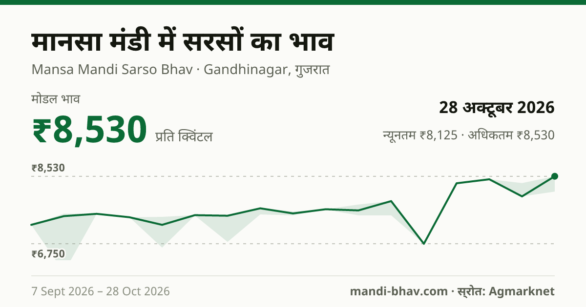 मानसा मंडी में सरसों का भाव 28 अक्टूबर 2026: मोडल ₹8,530 प्रति क्विंटल, भाव के रुझान का चार्ट