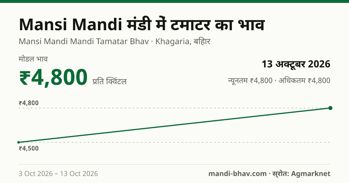 Mansi Mandi मंडी में टमाटर का भाव 13 अक्टूबर 2026: मोडल ₹4,800 प्रति क्विंटल, भाव के रुझान का चार्ट
