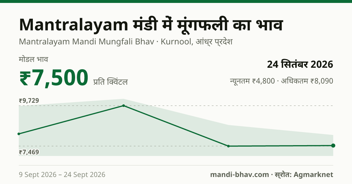 Mantralayam मंडी में मूंगफली का भाव 24 सितंबर 2026: मोडल ₹7,500 प्रति क्विंटल, भाव के रुझान का चार्ट