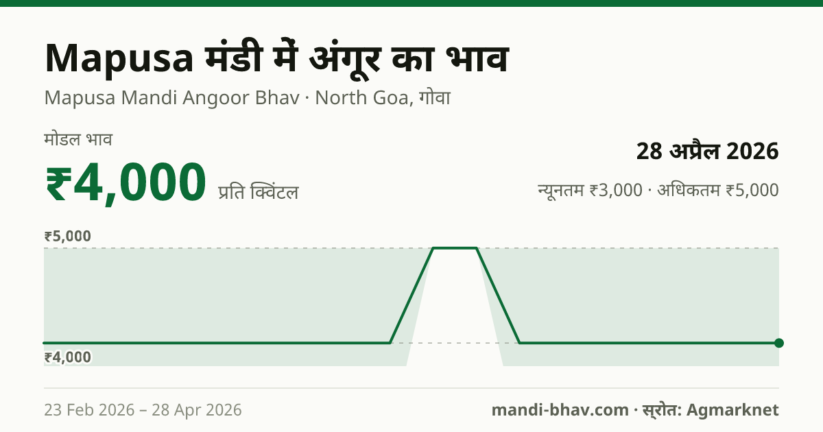Mapusa मंडी में अंगूर का भाव 28 अप्रैल 2026: मोडल ₹4,000 प्रति क्विंटल, भाव के रुझान का चार्ट