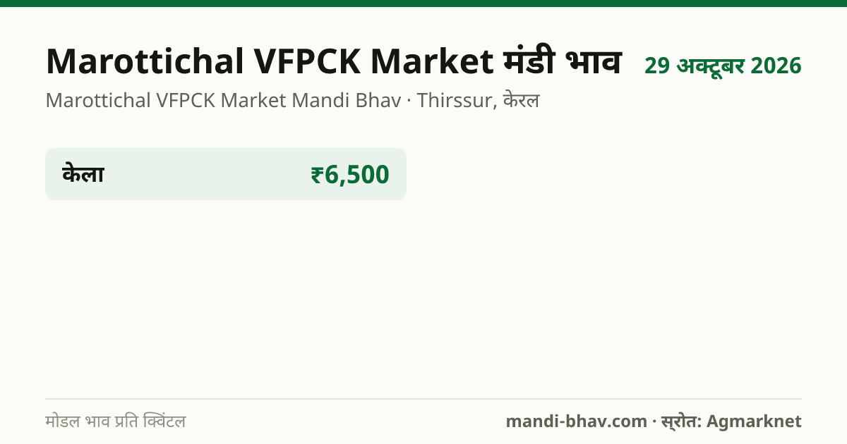Marottichal VFPCK Market मंडी भाव 29 अक्टूबर 2026: फसलवार मोडल रेट प्रति क्विंटल