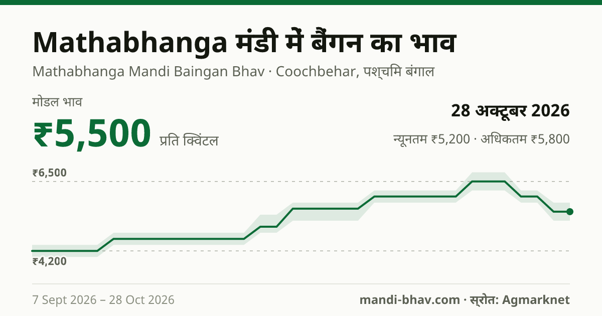 Mathabhanga मंडी में बैंगन का भाव 28 अक्टूबर 2026: मोडल ₹5,500 प्रति क्विंटल, भाव के रुझान का चार्ट