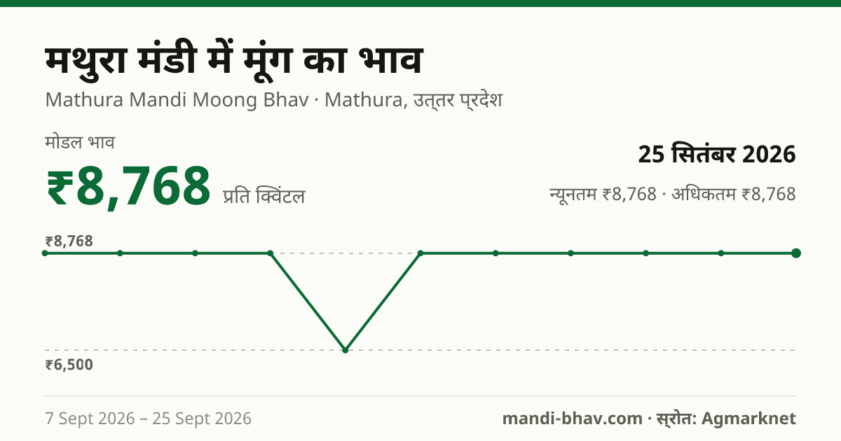 मथुरा मंडी में मूंग का भाव 25 सितंबर 2026: मोडल ₹8,768 प्रति क्विंटल, भाव के रुझान का चार्ट