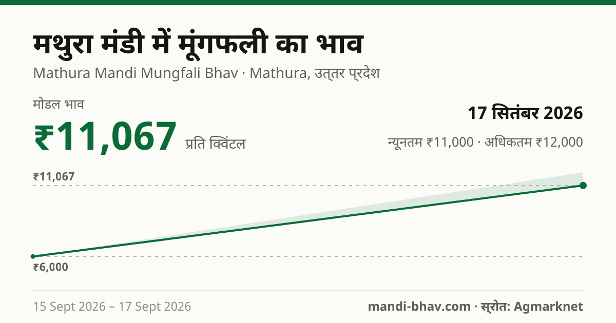 मथुरा मंडी में मूंगफली का भाव 17 सितंबर 2026: मोडल ₹11,067 प्रति क्विंटल, भाव के रुझान का चार्ट