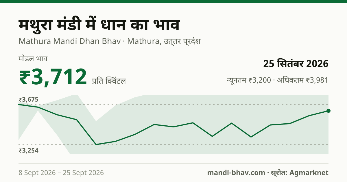मथुरा मंडी में धान का भाव 25 सितंबर 2026: मोडल ₹3,712 प्रति क्विंटल, भाव के रुझान का चार्ट