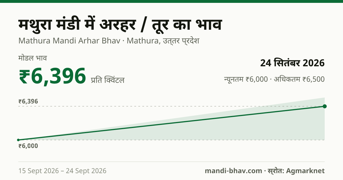 मथुरा मंडी में अरहर / तूर का भाव 24 सितंबर 2026: मोडल ₹6,396 प्रति क्विंटल, भाव के रुझान का चार्ट