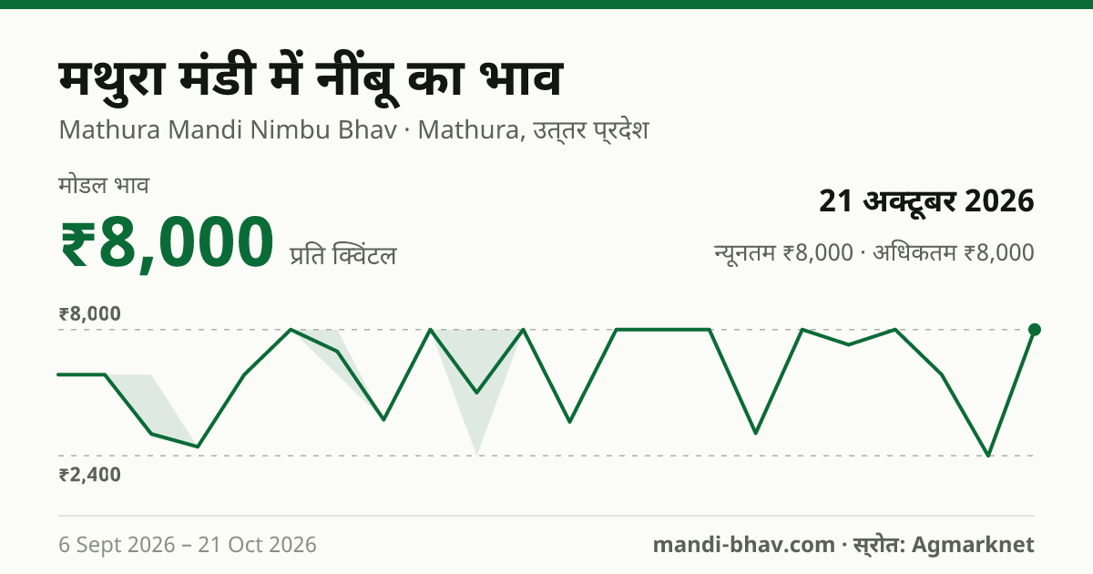 मथुरा मंडी में नींबू का भाव 21 अक्टूबर 2026: मोडल ₹8,000 प्रति क्विंटल, भाव के रुझान का चार्ट