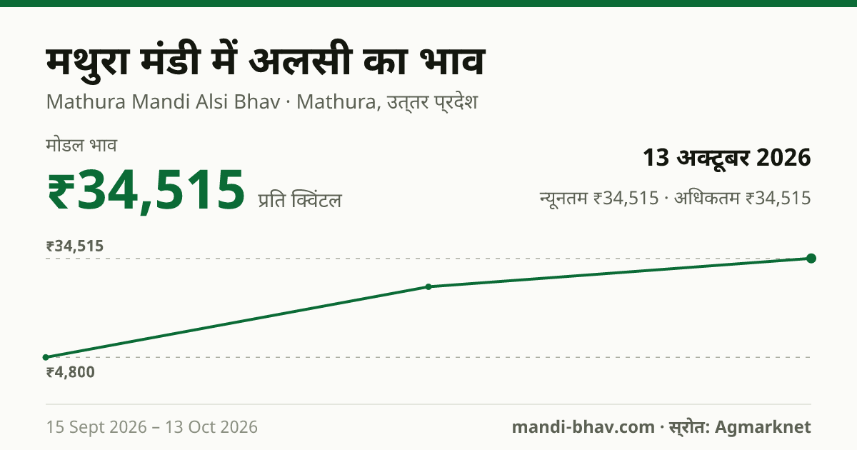 मथुरा मंडी में अलसी का भाव 13 अक्टूबर 2026: मोडल ₹34,515 प्रति क्विंटल, भाव के रुझान का चार्ट