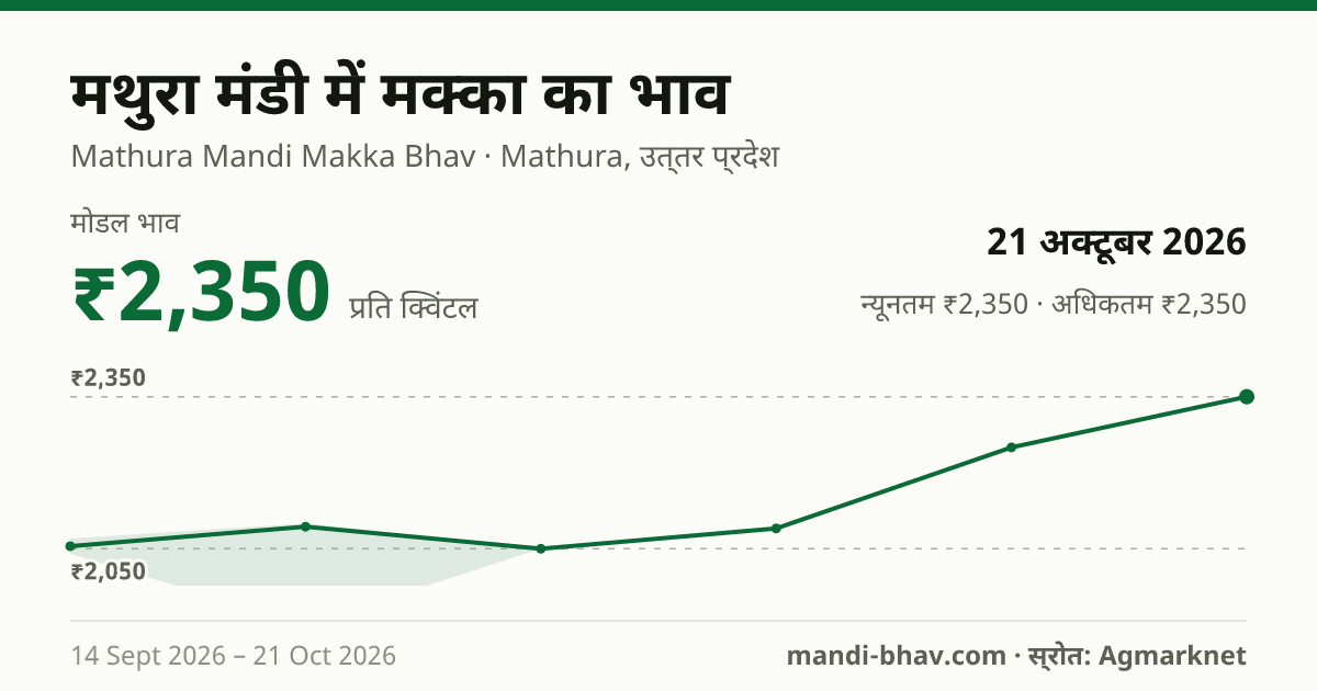 मथुरा मंडी में मक्का का भाव 21 अक्टूबर 2026: मोडल ₹2,350 प्रति क्विंटल, भाव के रुझान का चार्ट